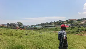 5 Acres of Land for Sale in Kireka Kamuli Road