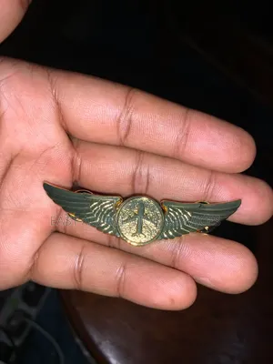 Airplanes & Wings Pins