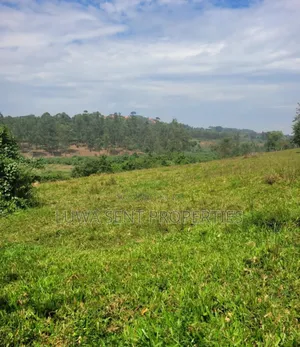 3 Sq Miles Kasangombe Nakaseke District Private Mailo Land Title