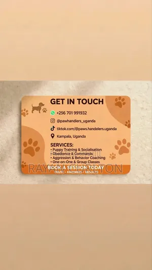 Dog Training