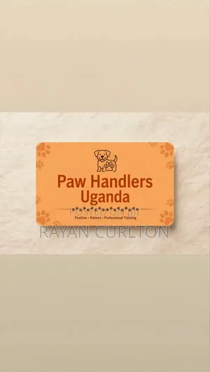Dog Training