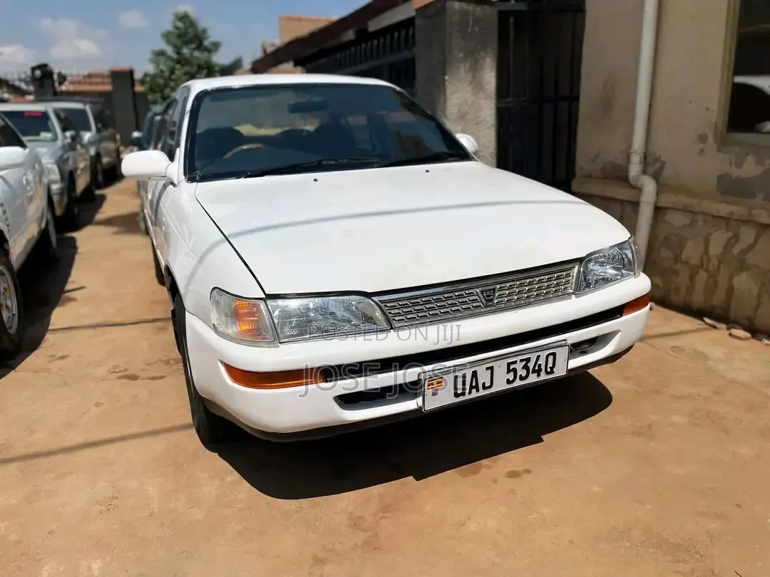 Toyota Corolla 1999 White