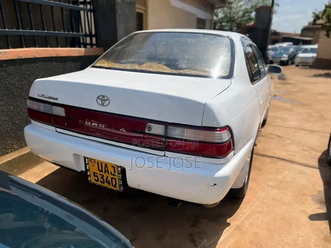 Toyota Corolla 1999 White
