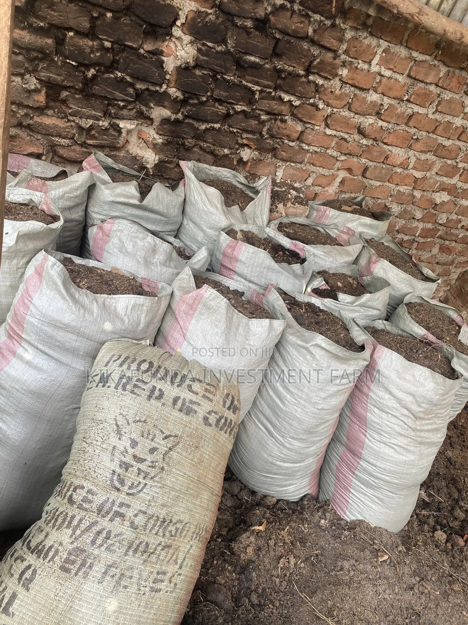 Organic Pig Manure