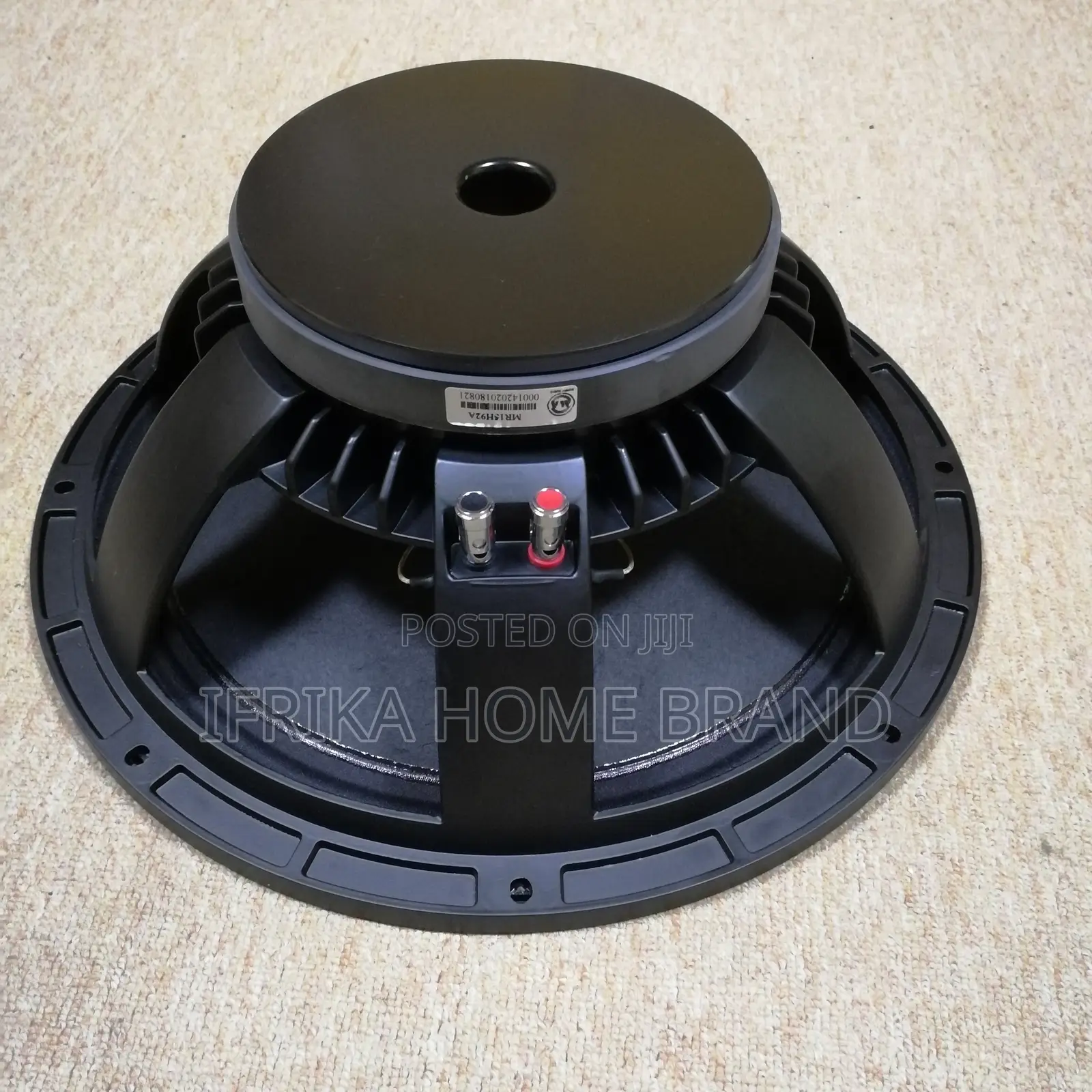 MAX Power Input 600W 190mm Cardoor Magnet 15'' Interrior Speaker Unit