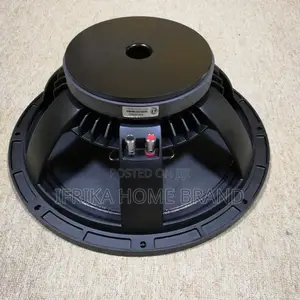 MAX Power Input 600W 190mm Cardoor Magnet 15'' Interrior Speaker Unit
