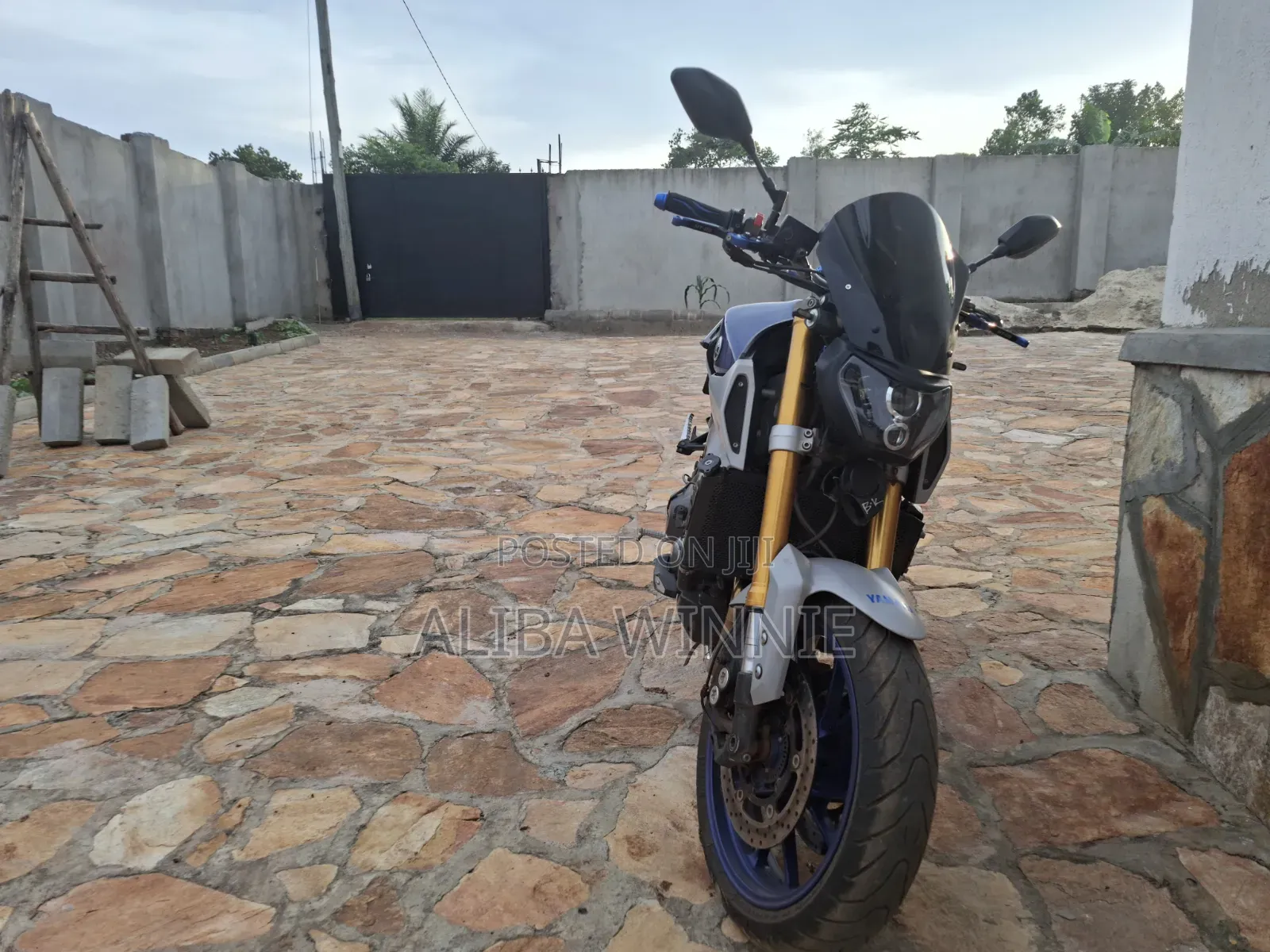 Yamaha 2016 Blue