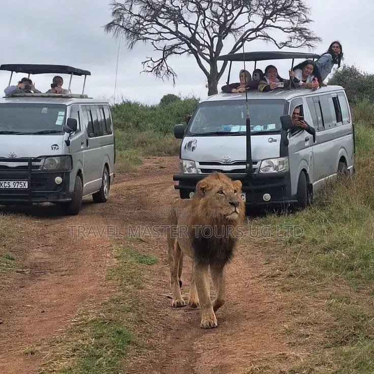 Safari Drone for Hire