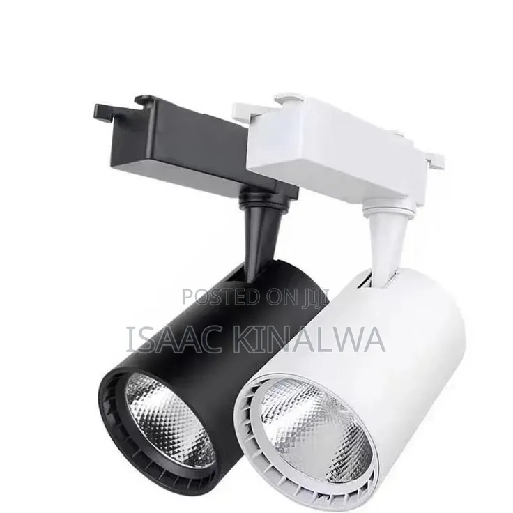 Track Light