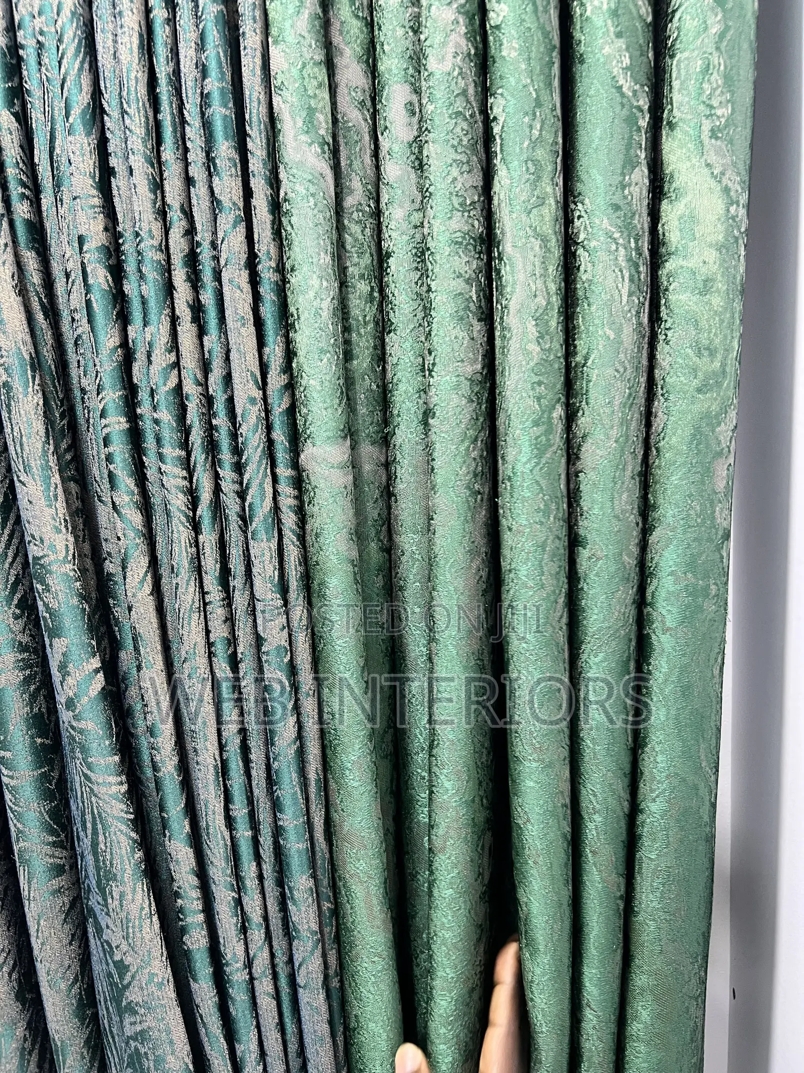 Green Curtain Lovers