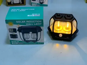 Solar Induction Wall Lamp (Model HW 669-2w)