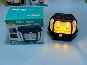 Solar Induction Wall Lamp (Model HW 669-2w)