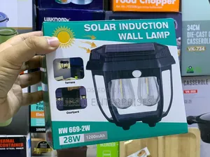 Solar Induction Wall Lamp (Model HW 669-2w)