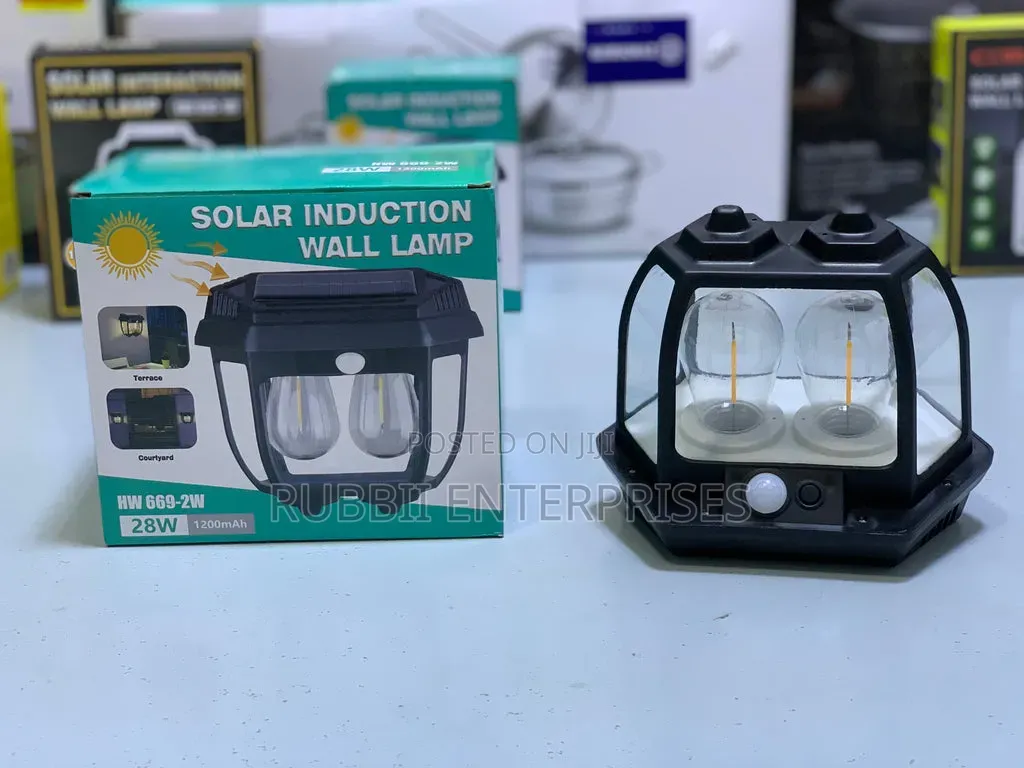 Solar Induction Wall Lamp (Model HW 669-2w)