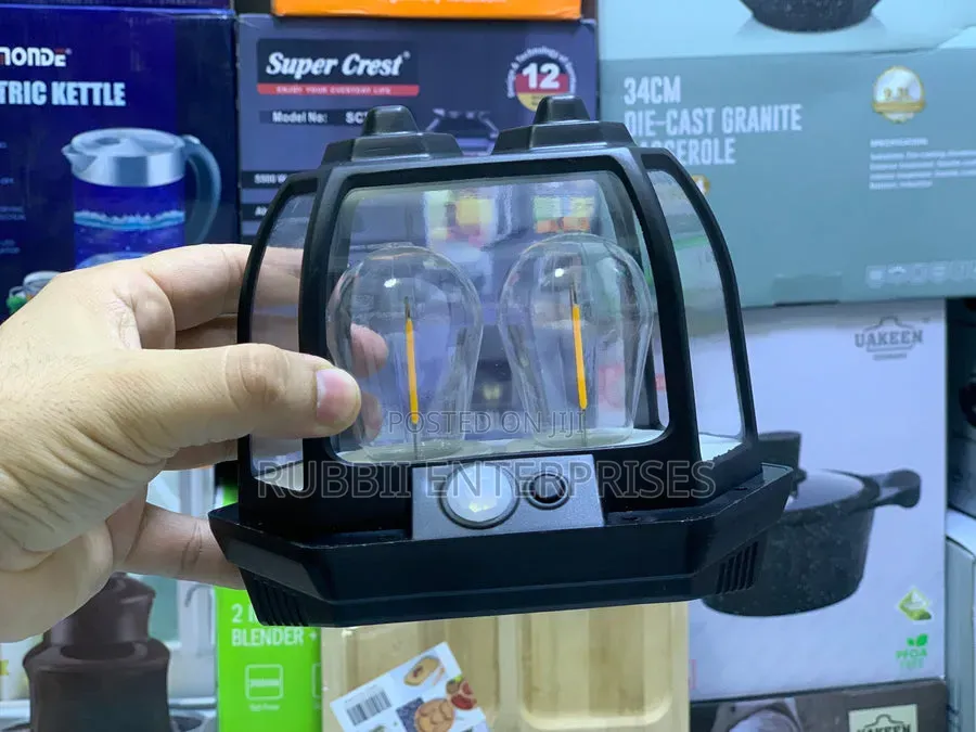 Solar Induction Wall Lamp (Model HW 669-2w)