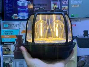 Solar Induction Wall Lamp (Model HW 669-2w)