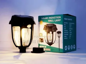 Solar Induction Wall Lamp HW-669