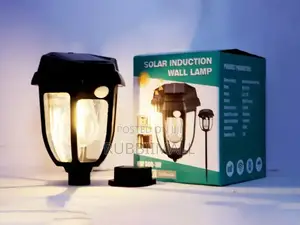 Solar Induction Wall Lamp HW-669