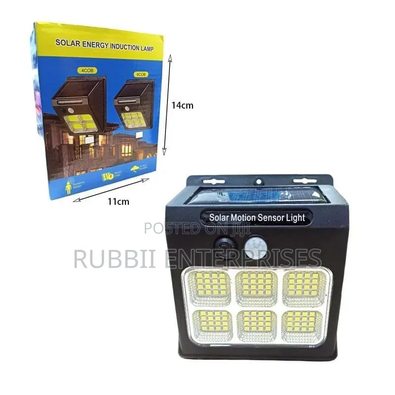 Solar Motion Sensor Light