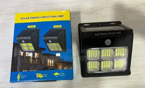 Solar Motion Sensor Light