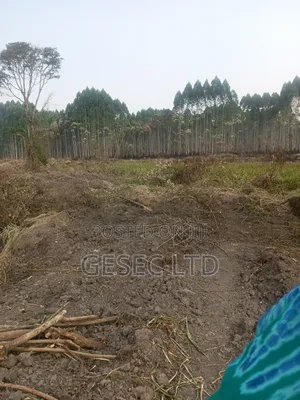 31Acres of Farmland for Sale