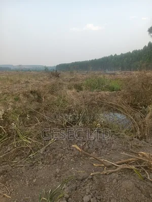 31Acres of Farmland for Sale
