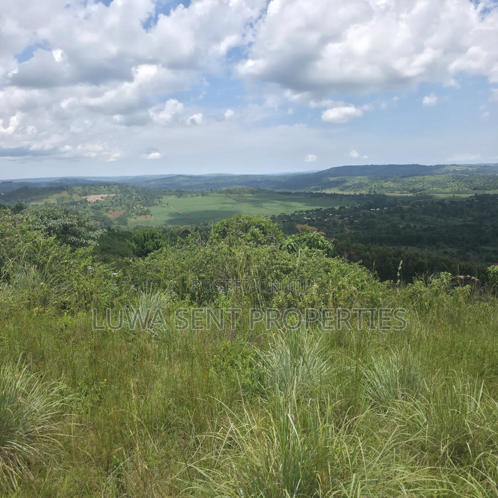 50 Acres Sekanyonyi Mitiyana Road Mailo Land Title