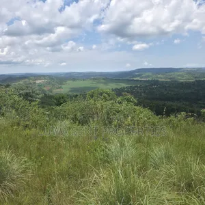 50 Acres Sekanyonyi Mitiyana Road Mailo Land Title