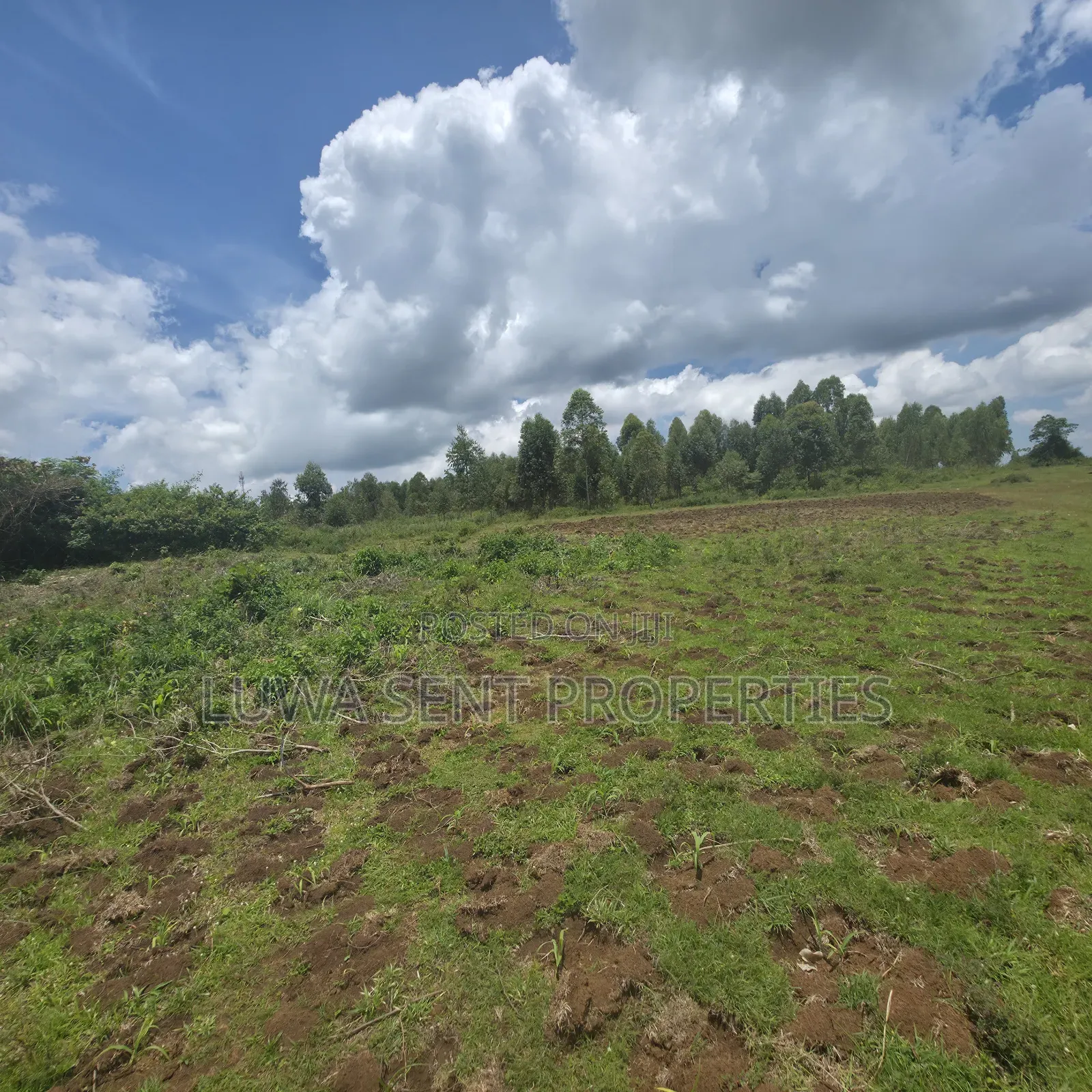 50 Acres Sekanyonyi Mitiyana Road Mailo Land Title
