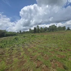 50 Acres Sekanyonyi Mitiyana Road Mailo Land Title
