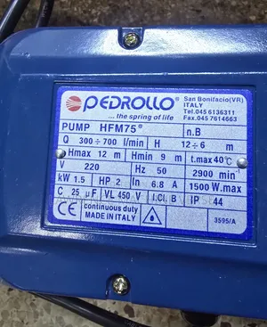 Surface Pump 2HP Pedrolla 1.5Kw