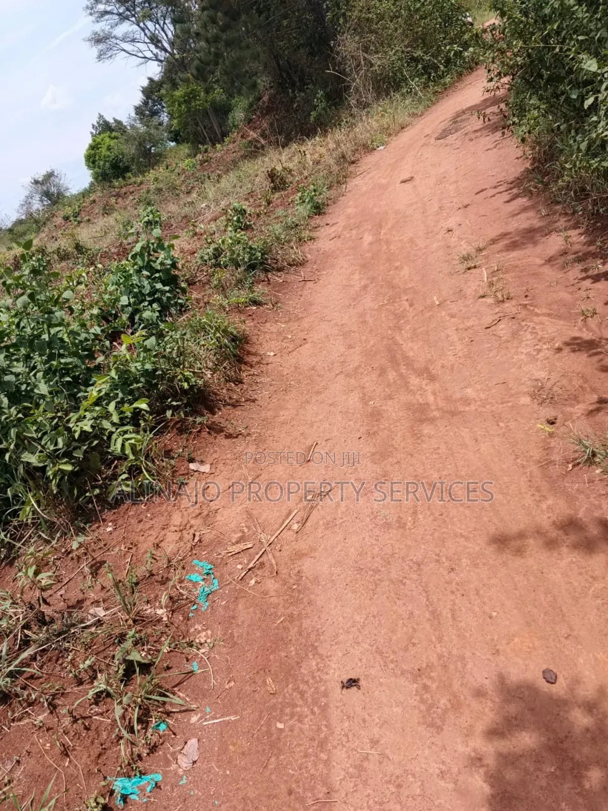 200 Acres - Kikyusa Luwero - Selling From 100 Acres -Each 12m