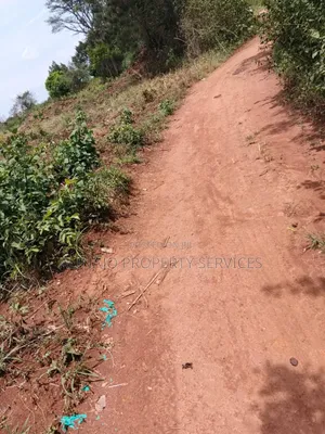 200 Acres - Kikyusa Luwero - Selling From 100 Acres -Each 12m