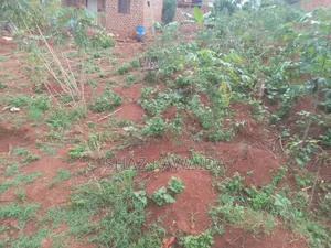 Plot in Nakawuka