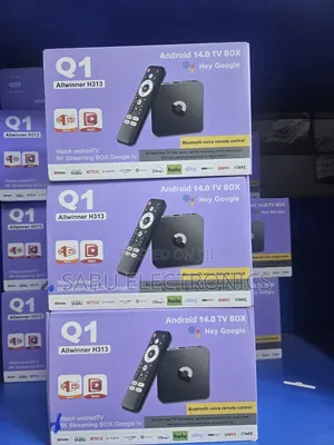 Q1 Allwinner H313 Android TV Box With Bluetooth