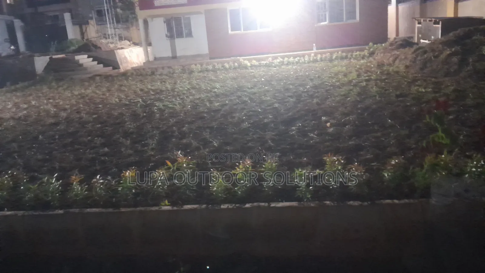 Home Plants