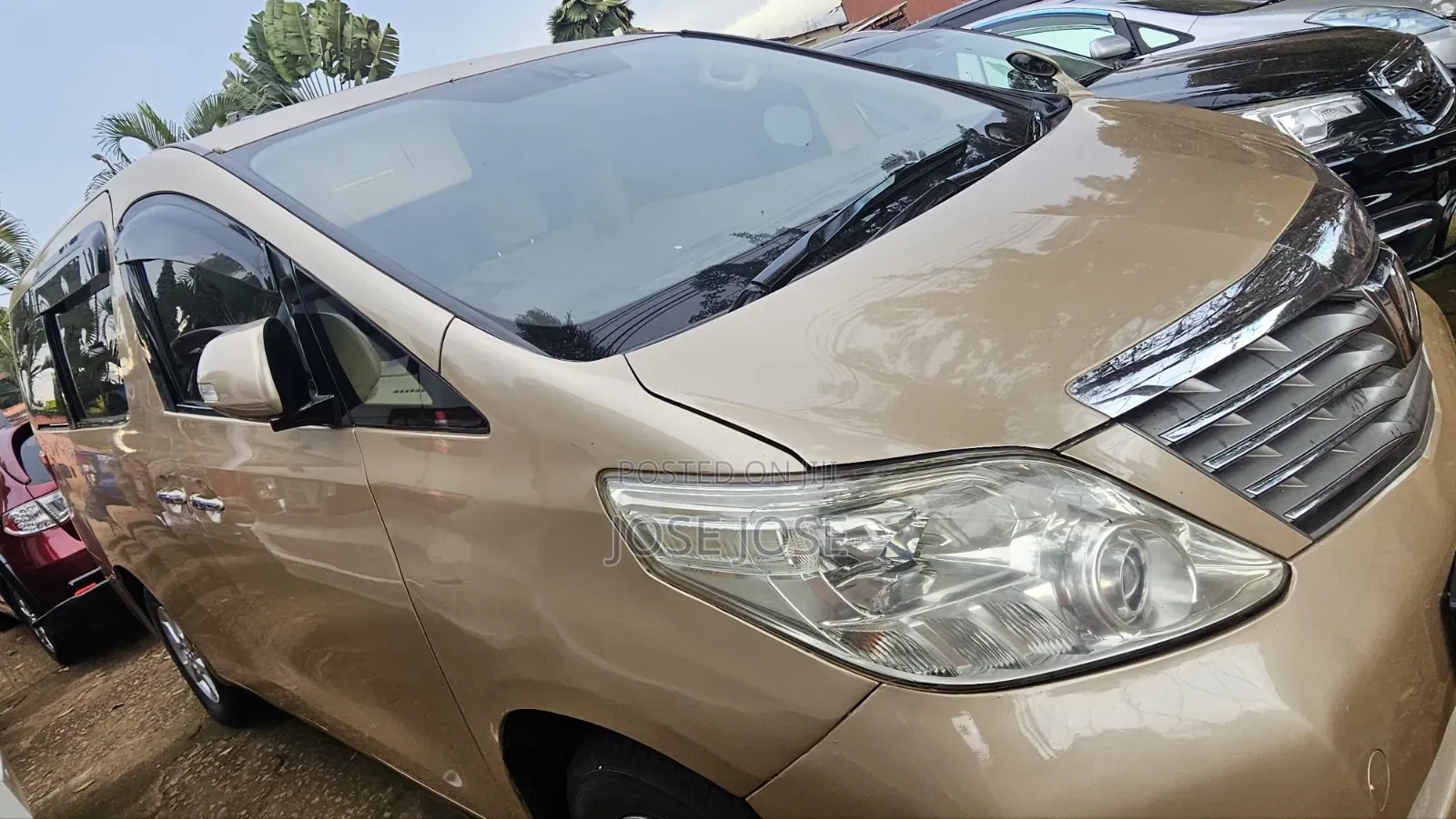 Toyota Alphard 2010 Gold