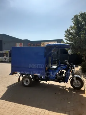 Tricycle 2025 Blue