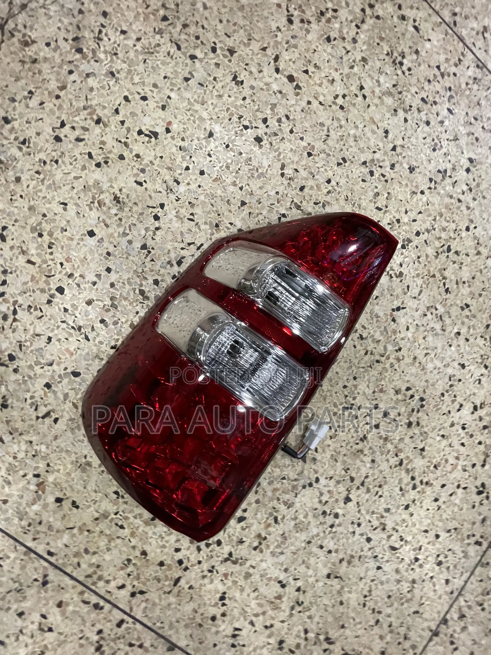 Noah Taillight 2012