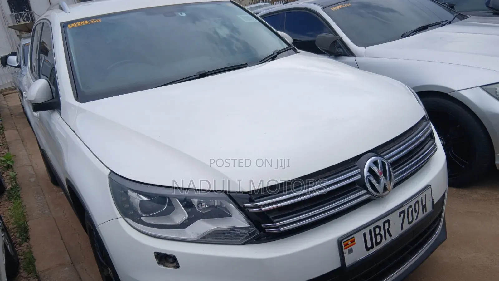 Volkswagen Tiguan 2010 White