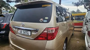 Toyota Alphard 2010 Gold