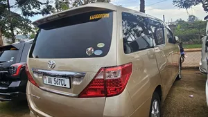 Toyota Alphard 2010 Gold