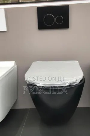 Concealed Toilet