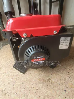 Domestic Use Generator