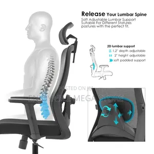 Ergonomic Office Chair Office Chair
