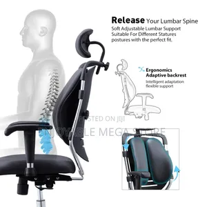 Orthopedic Lumbar Back Support Office Chairs Office Chairs