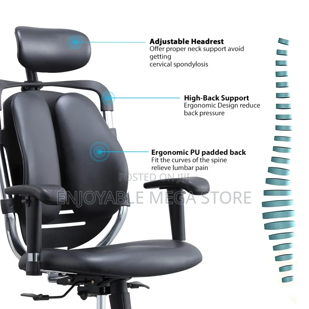 Executive Orthopedic Office Chairs Office Chairs