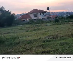 50 Acres for Sale – Bwizibwera Rwanyamahembe
