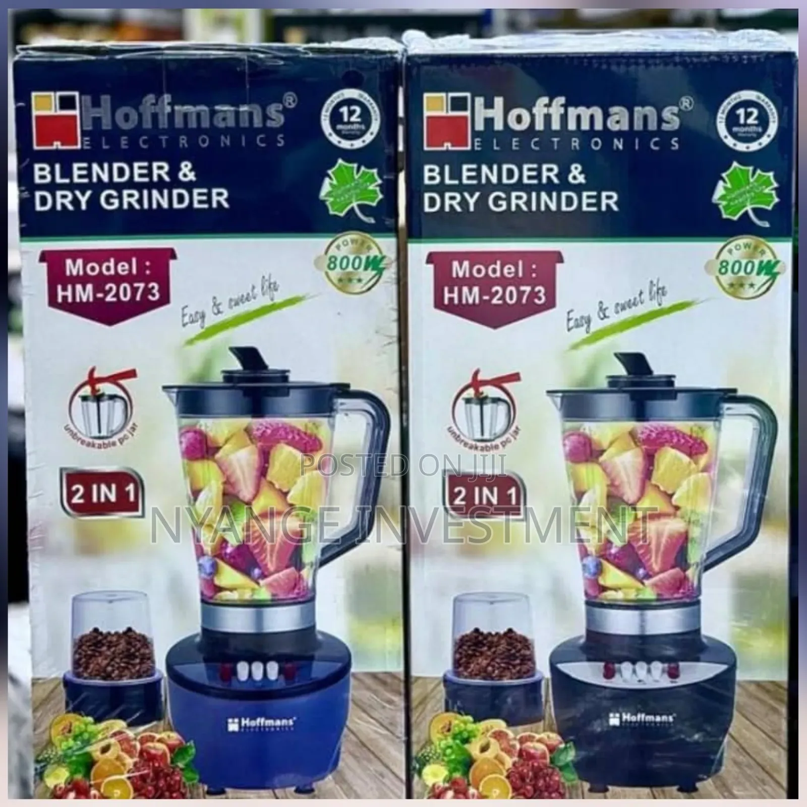 Hoffmans HM-2073 2-in-1 Blender & Dry Grinder, 800W Motor.