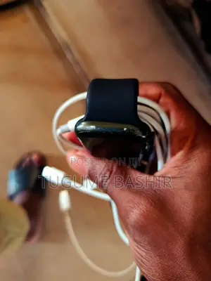 Apple Accessory